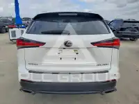 2020 Lexus NX photo