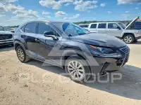 2020 Lexus NX photo