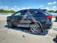 2020 Lexus NX фото