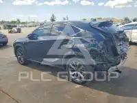 2020 Lexus NX фото