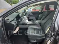 2020 Lexus NX photo
