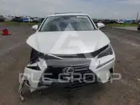 2020 Lexus NX photo