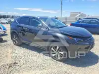 2020 Lexus NX photo