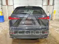 2020 Lexus NX фото