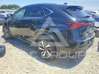 2020 Lexus NX photo