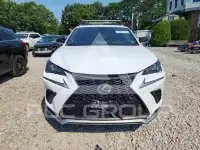 2020 Lexus NX фото