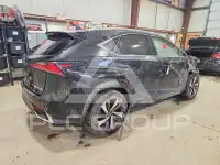 2020 Lexus NX фото
