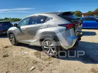 2020 Lexus NX фото