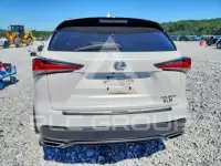 2020 Lexus NX фото