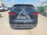 2020 Lexus NX photo