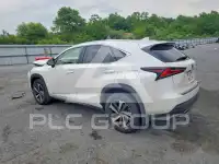 2020 Lexus NX фото