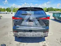 2020 Lexus NX фото
