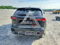 2020 Lexus NX300 фото