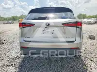 2020 Lexus NX фото