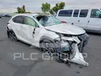 2020 Lexus NX фото