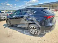 2020 Lexus NX photo