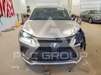 2020 Lexus NX фото