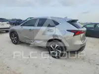 2020 Lexus NX photo