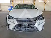 2020 Lexus NX фото