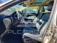 2020 Lexus NX фото