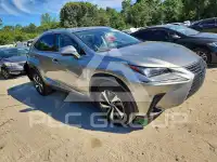 2020 Lexus NX фото
