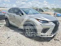 2020 Lexus NX фото