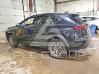 2020 Lexus NX фото