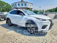 2020 Lexus NX фото