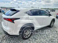 2020 Lexus NX фото