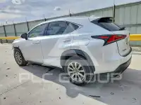 2020 Lexus NX фото