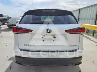 2020 Lexus NX фото