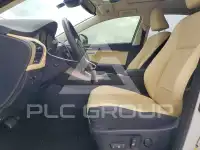 2020 Lexus NX photo