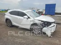 2020 Lexus NX photo