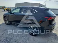 2020 Lexus NX300 фото