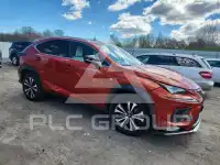 2020 Lexus NX фото