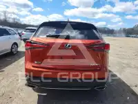 2020 Lexus NX фото