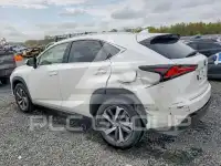 2020 Lexus NX фото