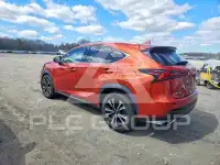 2020 Lexus NX фото