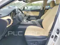 2020 Lexus NX фото