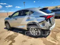 2020 Lexus NX фото