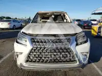 2020 Lexus GX фото
