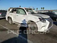 2020 Lexus GX фото