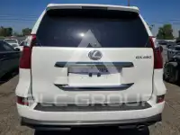 2020 Lexus GX фото