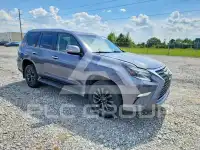 2020 Lexus GX фото