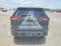 2020 Toyota RAV4 photo