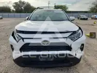 2020 Toyota RAV4 photo