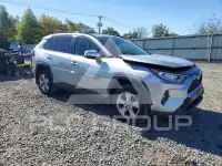 2020 Toyota RAV4 photo
