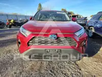 2020 Toyota RAV4 фото