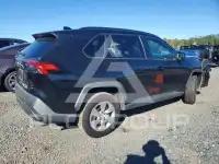 2020 Toyota RAV4 photo