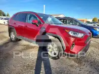 2020 Toyota RAV4 фото